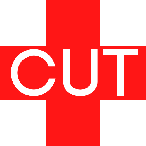 CUTPLUS - oprogramowanie do nestingu i formatyzacji formatek